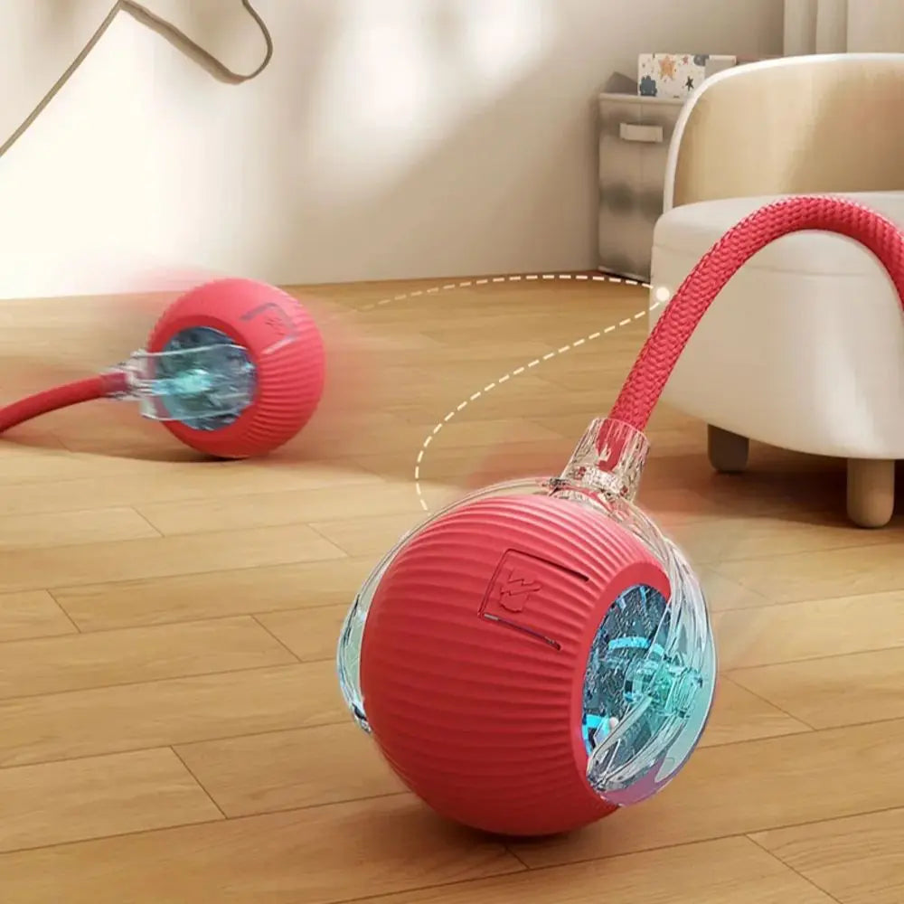 cat toys