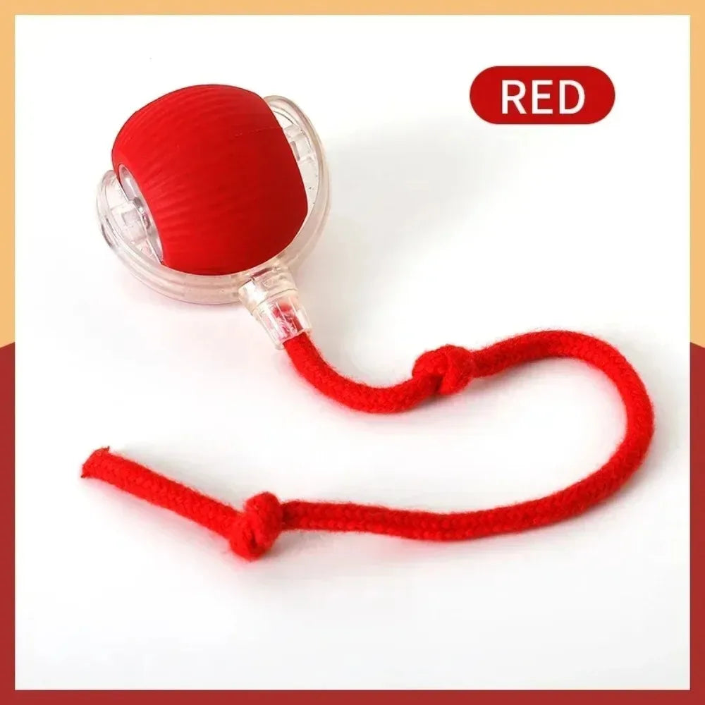 cat toys
