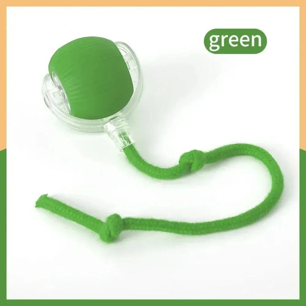 cat toys