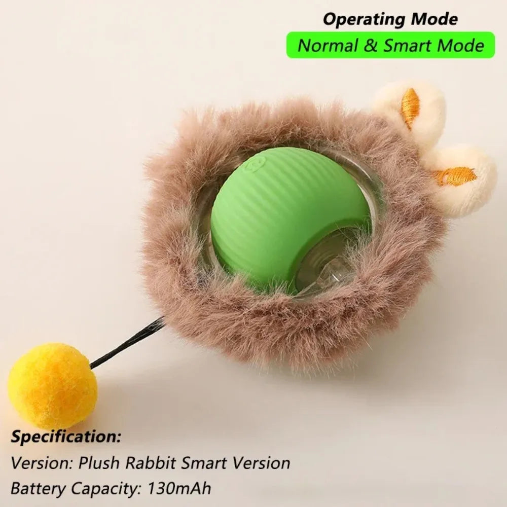 cat toys