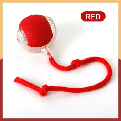 cat toys