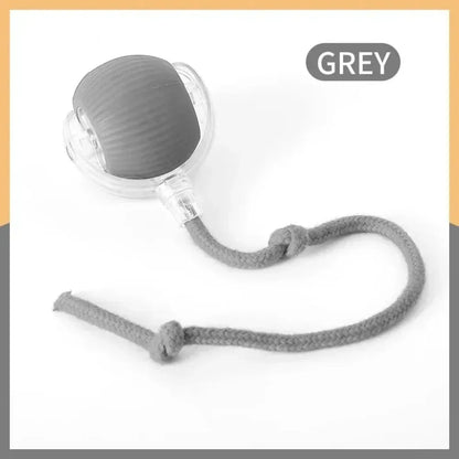 cat toys